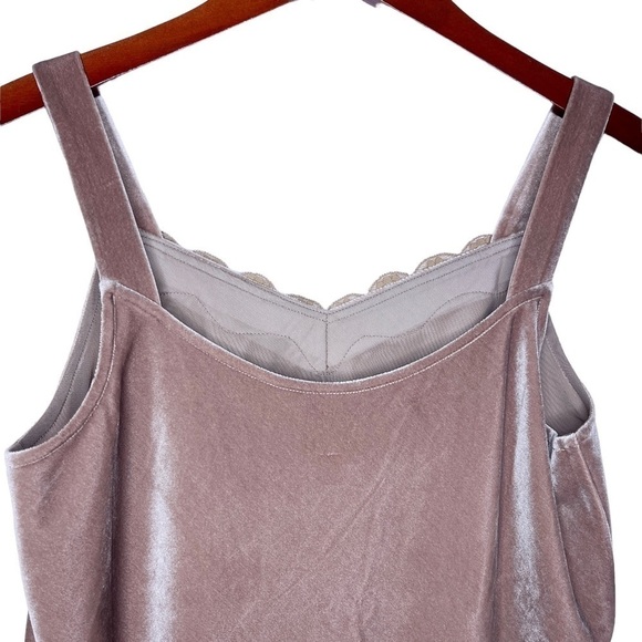 NIC + ZOE NWT Velvet Lace Cami Top Size Medium in Cafe Au Lait - Picture 13 of 16
